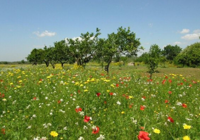 Agriturismo Villa Zottopera